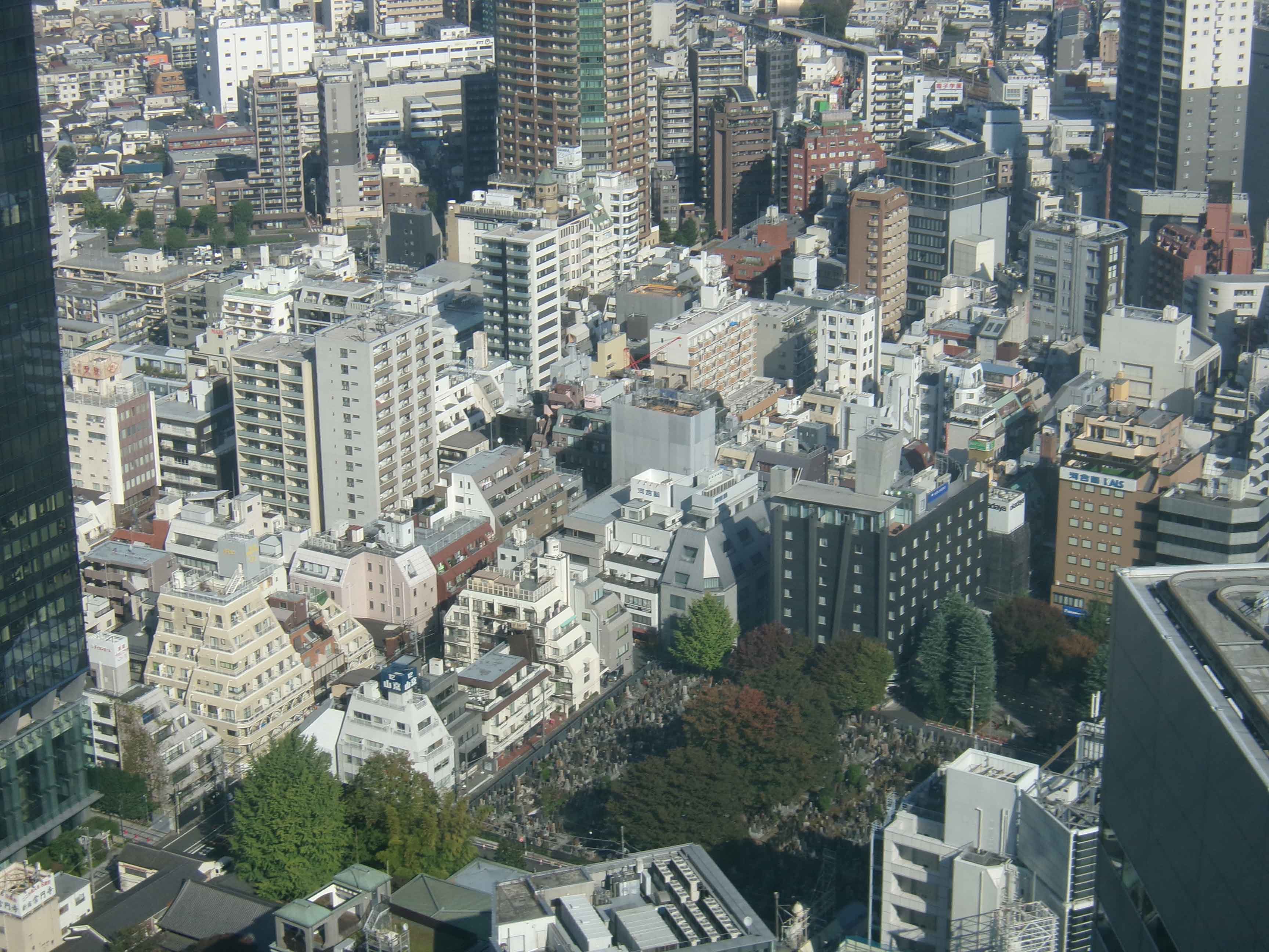 西大久保公園周辺の写真